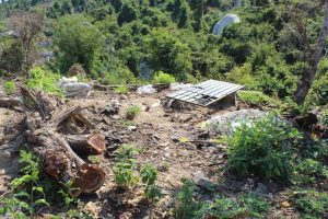 FIDEACA inicia proceso legal para blindar el Parque Bicentenario como Área Natural Protegida