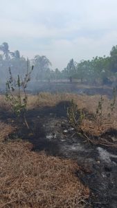 Controlan Bomberos de Acapulco incendio en Praderas de Guadalupe