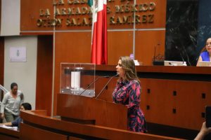 Presenta diputada la iniciativa “Ley silla” en Guerrero