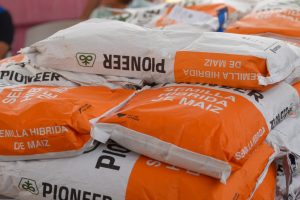 Impulsa gobierno de Abelina López producción agrícola con semilla mejorada para más de 8 mil campesinos