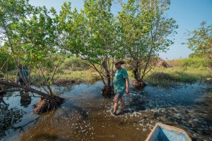 Avanza poco a poco afectación a manglares en laguna de Coyuca de Benítez