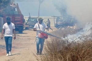 Refuerzan vigilancia y fumigación en Acapulco ante presencia del serotipo 2 de dengue
