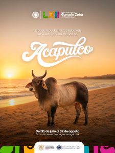 Acapulco, sede nacional de la ganadería Cebú; Guerrero fortalece su liderazgo en el sector pecuario