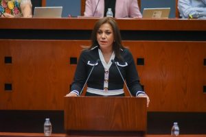 Multas por daños ambientales se destinen a trabajos de restauración, propone diputada en una nueva Ley