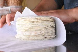 Mantendrán sin cambios el precio de la tortilla pese a caída de 60% en maíz en Guerrero