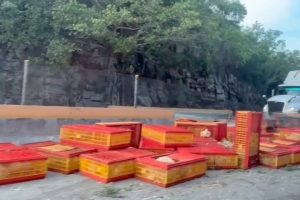 Accidente de tráiler con cajas de aves provoca severa congestionamiento en la Autopista del Sol