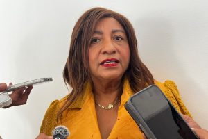Leticia Lozano llama a esperar definición de Morena en Acapulco